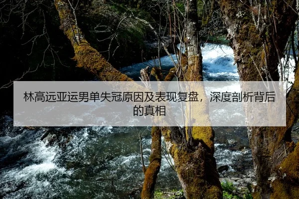 林高远亚运男单失冠原因及表现复盘，深度剖析背后的真相